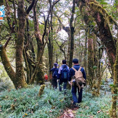 duong-len-dinh-pu-si-lung-2