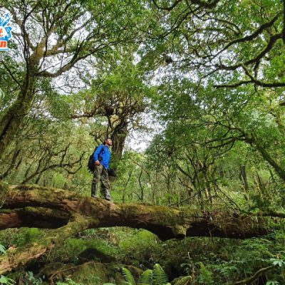 duong-len-dinh-pu-ta-leng-2