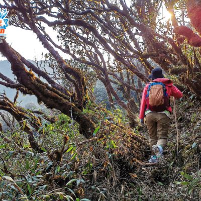 duong-len-dinh-pu-ta-leng-3