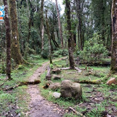 duong-len-fansipan-2