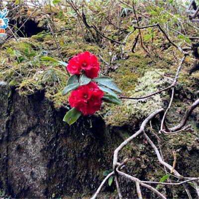 duong-len-fansipan-6