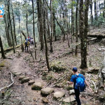 duong-len-fansipan-8