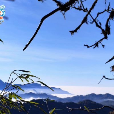 gan-len-dinh-khang-su-van-2