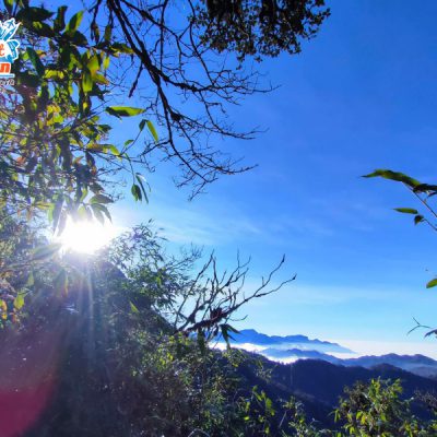 gan-len-dinh-khang-su-van