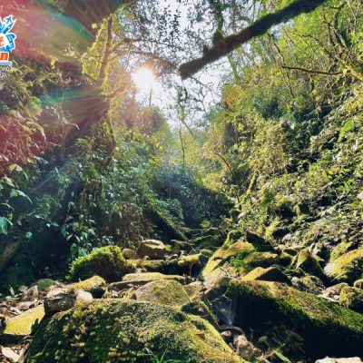 rung-nguyen-sinh-pu-ta-leng-2