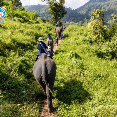 khu-bao-ton-voi-Mae-Taeng