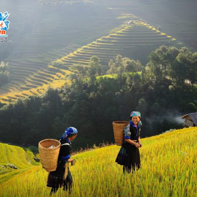 mu-cang-chai-ruong-bac-thang