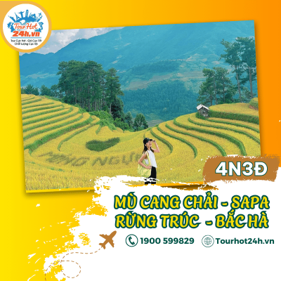 tour-mu-cang-chai-sapa-rung-truc