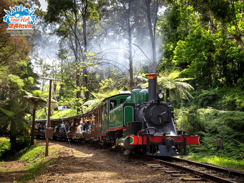 xe-lua-hoi-nuoc-Puffing-Billy