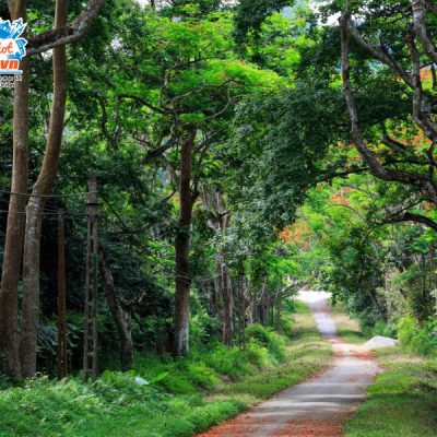 rung-quoc-gia-cuc-phuong