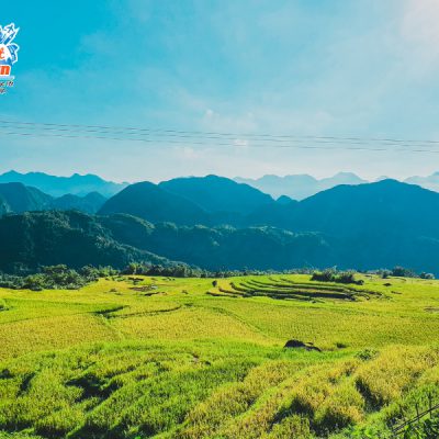 ruong-bac-thang-ban-bang