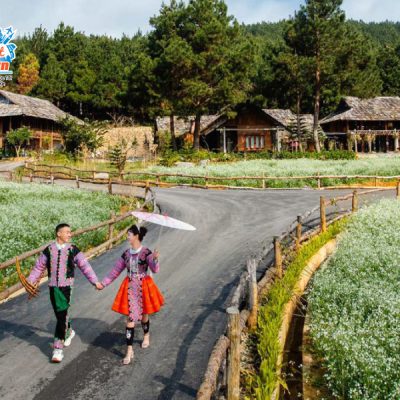 Nordic-Village-Village