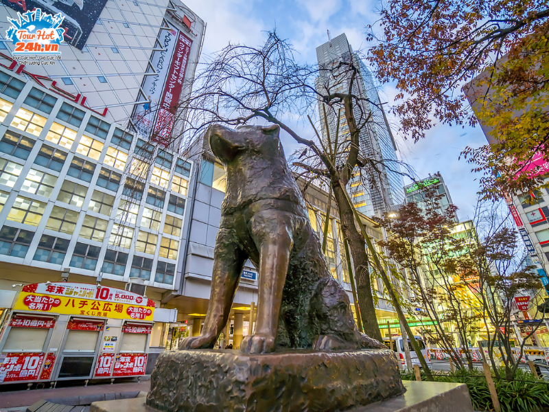 Tuong-chu-cho-Hachiko Tuong-chu-cho-Hachiko