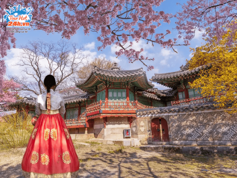 cung-dien-Kyeongbok-han-quoc