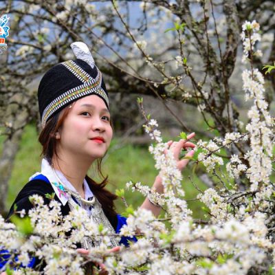 dien-bien-mua-hoa-ban