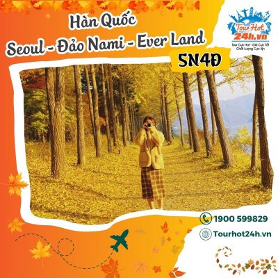 tour-han-quoc-seoul-nami-everland-5n4d