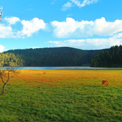 cong-vien-pho-dat-tho