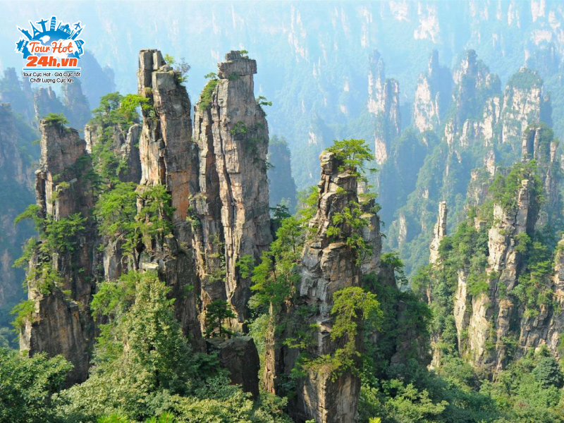 cong-vien-truong-gia-gioi-2 cong-vien-truong-gia-gioi-2