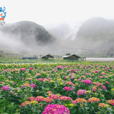 cong-vien-quoc-gia-duong-minh-son