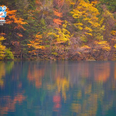 cuu-trai-cau-thien-duong-ha-gioi