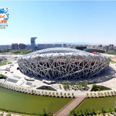 san-van-dong-to-chim