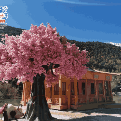 check-in-lam-nguyet-coc