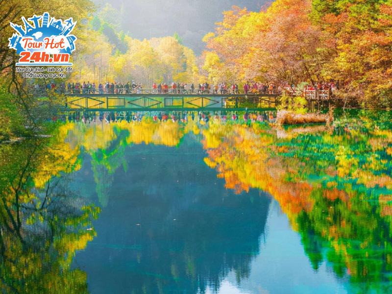 luu-y-di-cuu-trai-cau-mua-thu