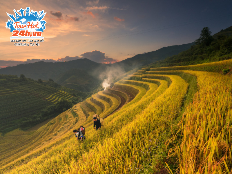 trai-nghiem-mua-vang-mu-cang-chai