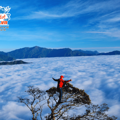 Ki-luc-dung-tren-cay-co-don-o-thien-duong-san-may-Ta-Xua