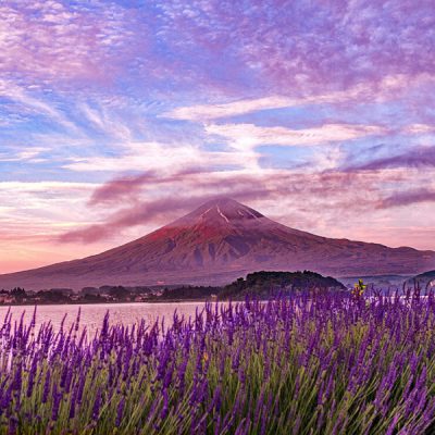 cong-vien-oishi-tour-du-lich-nhat-ban