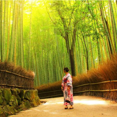 rung-tre-Arashiyama-tour-nhat-ban