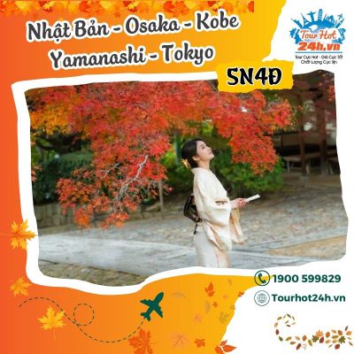 tour-nhat-ban-osaka-kobe-tokyo-5n5d