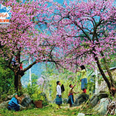 Cao-nguyen-Moc-Chau-hoa-dao-rung