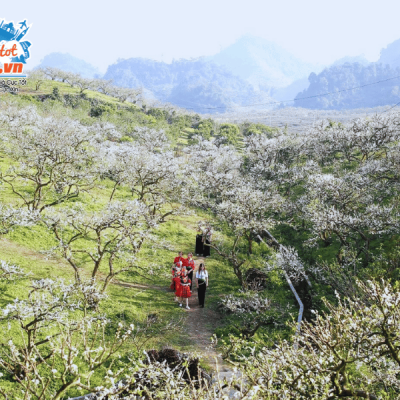 Cao-nguyen-Moc-Chau-hoa-man-trang