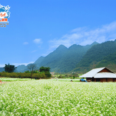 Cao-nguyen-Moc-Chau-vao-thu