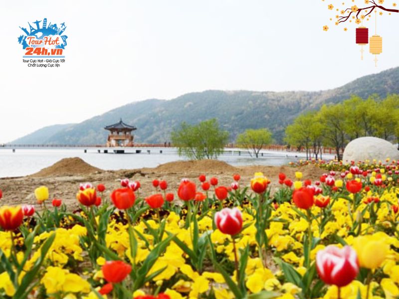 cong-vien-songhae-tet-al cong-vien-songhae-tet-al