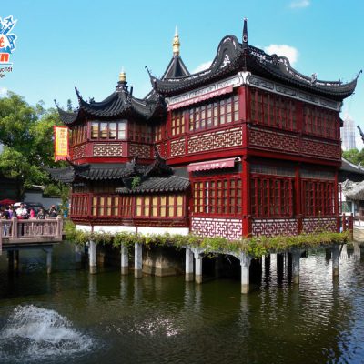 ve-dep-vuon-du-vien-thuong-hai