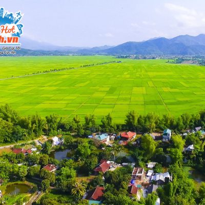 toan-canh-canh-dong-muong-thanh