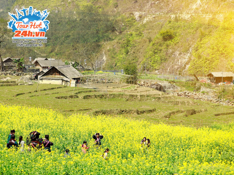 du-lich-dien-bien-mua-hoa-cai-1