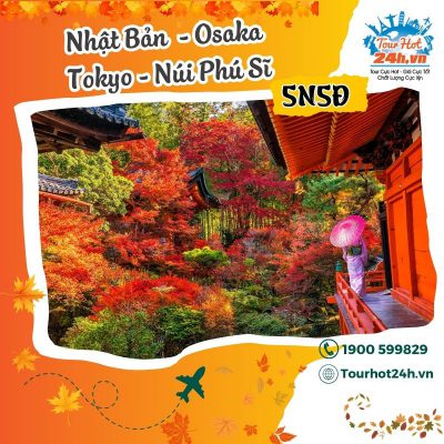 tour-nhat-ban-osaka-tokyo-nui-phu-si-5n5d