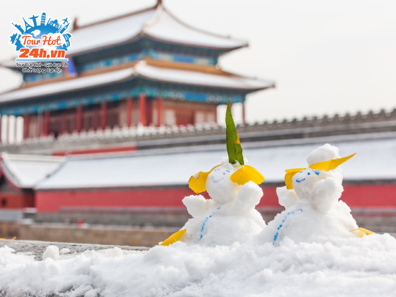 tu-cam-thanh-tuyet-roi