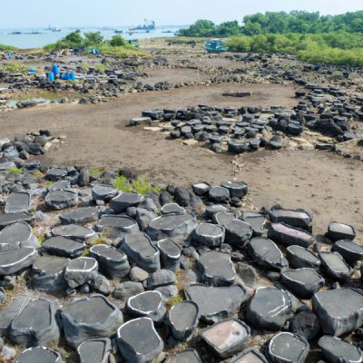 canh-dong-muoi-co-duong-phu