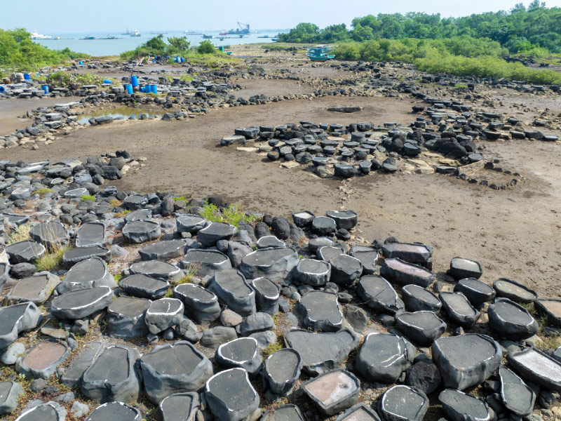 canh-dong-muoi-co-duong-phu canh-dong-muoi-co-duong-phu