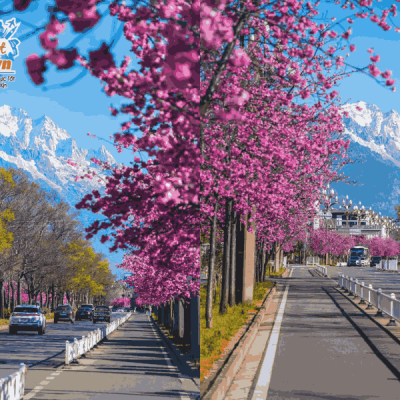 duoi-chan-nui-tuyet-ngoc-long