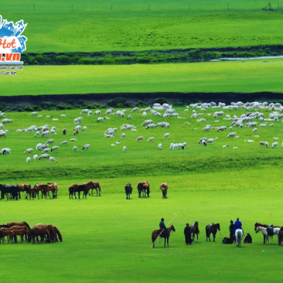 tour-du-lich-noi-mong-ordos