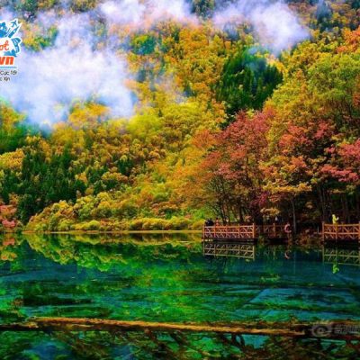 cuu-trai-cau-1-2-1-1