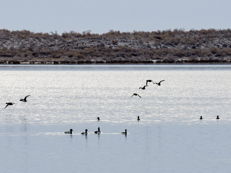 ho-Ulungur-tour-tan-cuong-9n9d ho-Ulungur-tour-tan-cuong-9n9d