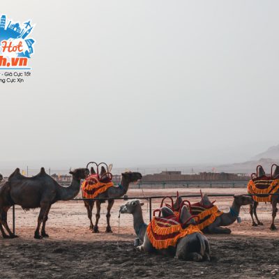 hoa-diem-son-tour-du-lich-tan-cuong