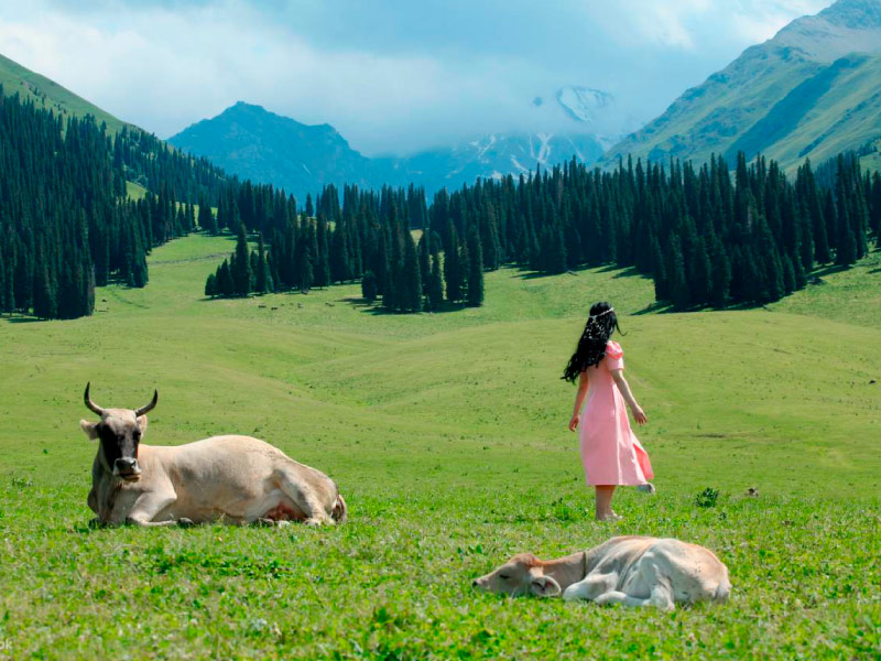 thao-nguyen-Kalajun-tour-tan-cuong-9n9d thao-nguyen-Kalajun-tour-tan-cuong-9n9d