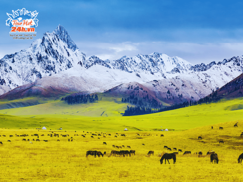 thao-nguyen-nalati-diem-tham-quan-tan-cuong